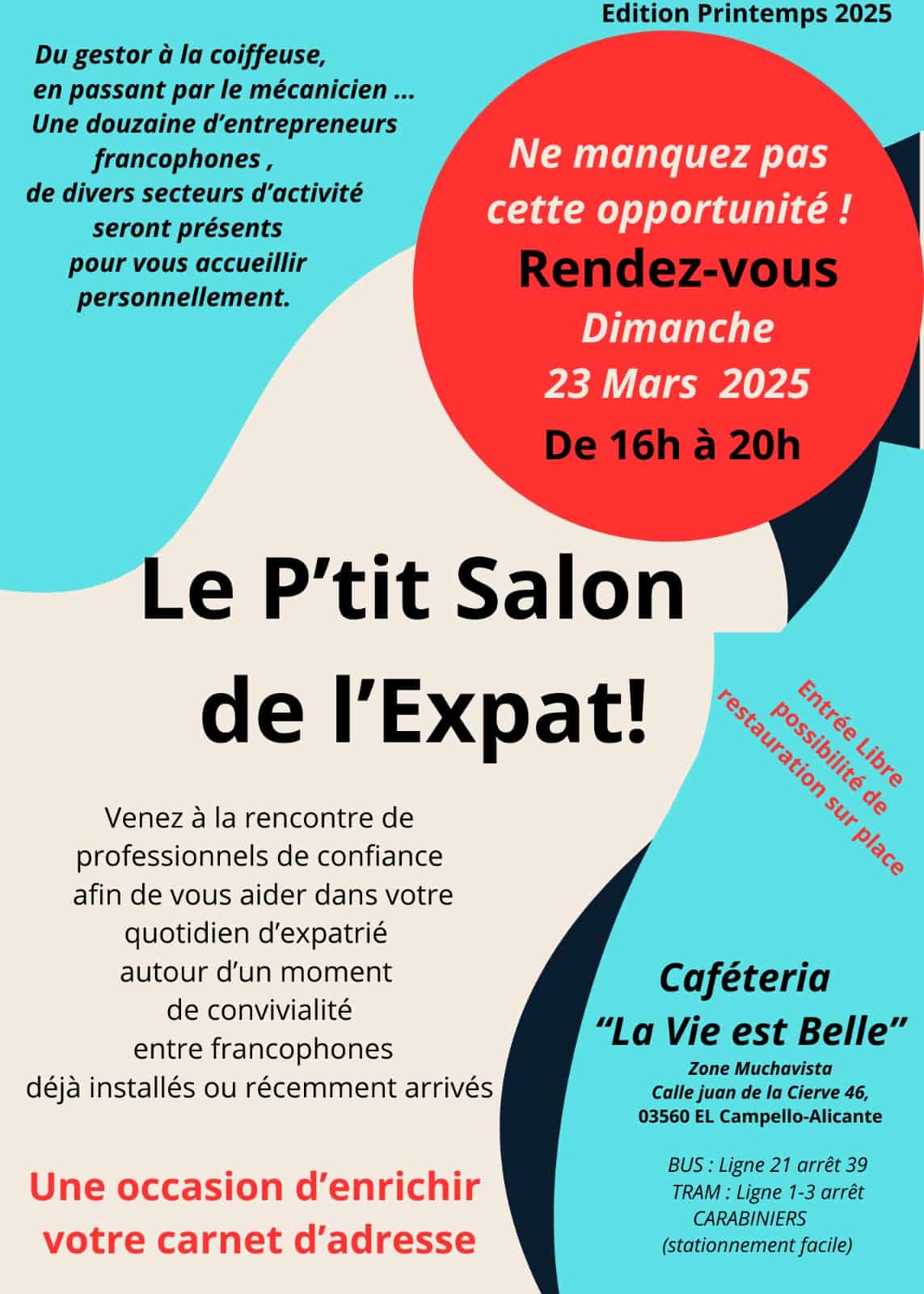 Affiche de Le P'tit Salon de l'Expat